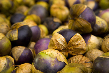 Image showing Organic Tomatillos