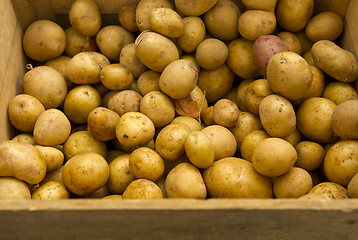 Image showing Organic Potatoes