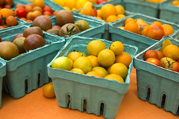 Image showing Organic Tomatoes