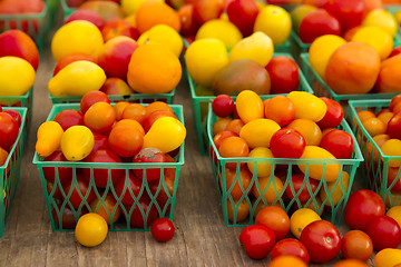 Image showing Organic Tomatoes