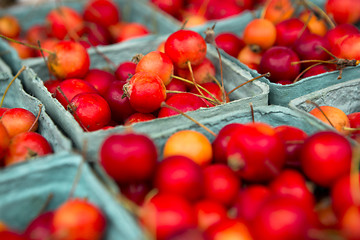 Image showing Crabapples