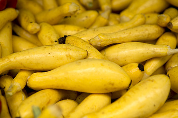 Image showing Organic Zucchini