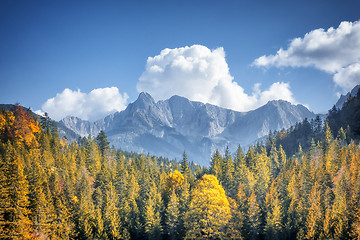 Image showing autumn alps
