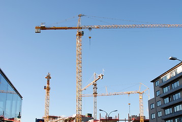 Image showing Four tower cranes