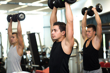 Image showing group of men with dumbbells in gym