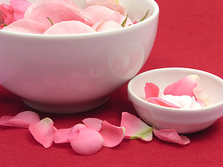 Image showing Pink roses and cream in  white bowls of chinaware on red background