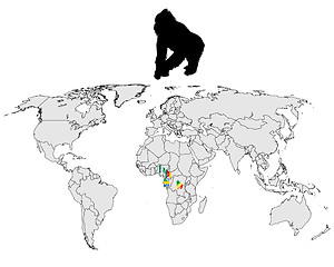 Image showing World Gorilla range