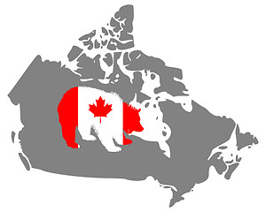 Image showing Canadian grizzly