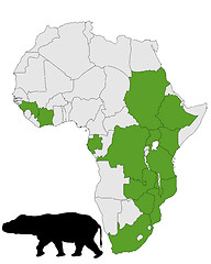 Image showing Hippo Africa range