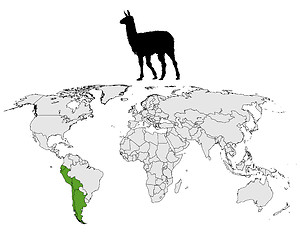 Image showing Llama range map
