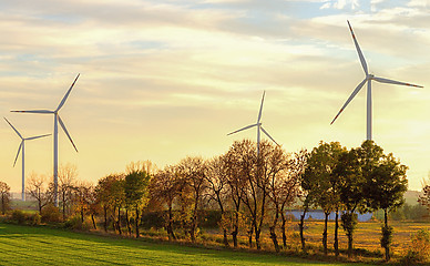 Image showing Windmills 