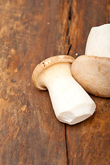 Image showing fresh wild mushrooms