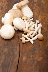 Image showing fresh wild mushrooms