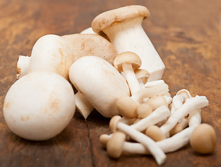 Image showing fresh wild mushrooms