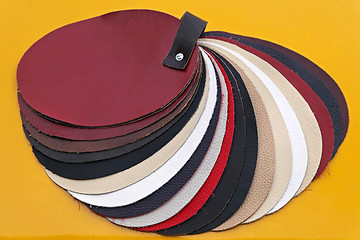 Image showing Leather swatch