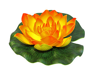 Image showing Orange lotus