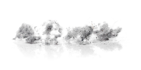 Image showing Dust