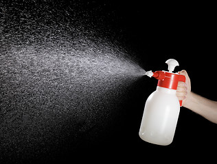 Image showing Spray