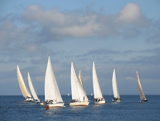 Image showing Evening sailing competition - just after the start.