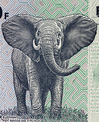 Image showing Elephant 