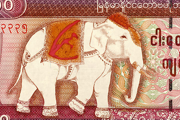 Image showing Elephant 