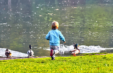 Image showing Small boy with mallards