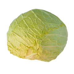 Image showing Cabbage isolated