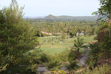 Image showing The road in the jungle