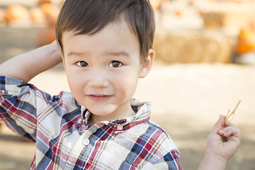 Image showing Mixed Race Young Boy Having Fun at the Pumpkin Patch