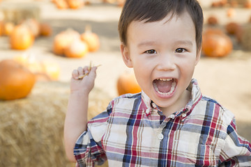 Image showing Mixed Race Young Boy Having Fun at the Pumpkin Patch