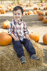 Image showing Mixed Race Young Boy Having Fun at the Pumpkin Patch