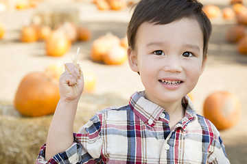 Image showing Mixed Race Young Boy Having Fun at the Pumpkin Patch