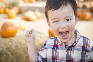 Image showing Mixed Race Young Boy Having Fun at the Pumpkin Patch