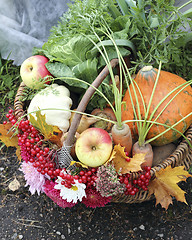 Image showing Basket with vegetables and fruits