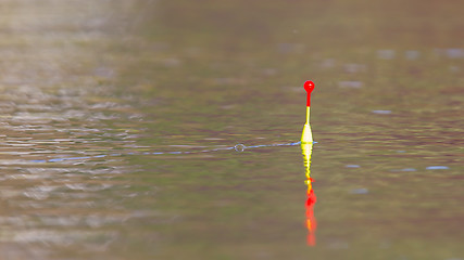 Image showing Fishing float floating