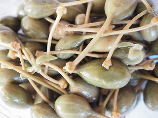 Image showing Caper berries