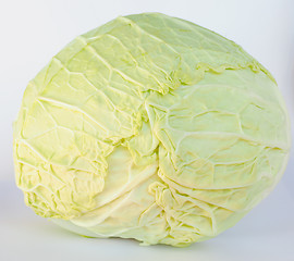 Image showing Cabbage