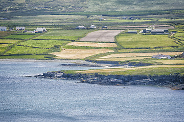 Image showing irish landscape