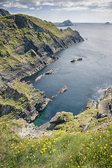 Image showing view from Reencaheragh to Skellig Island