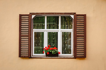 Image showing Window with shutters and flower