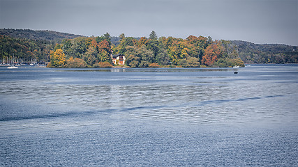 Image showing rose island