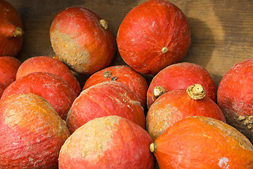 Image showing Pumpkins on the field