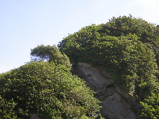 Image showing peak