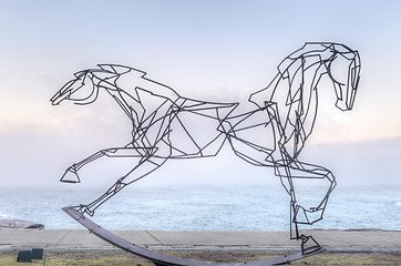 Image showing Galloping along the coastal walk Bondi