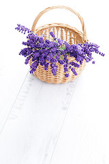 Image showing basket of lavender