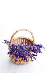 Image showing basket of lavender