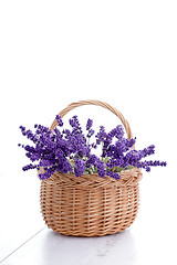 Image showing basket of lavender