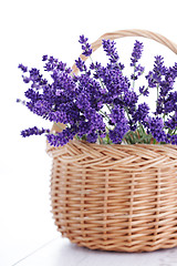 Image showing basket of lavender