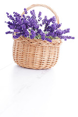 Image showing basket of lavender