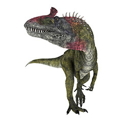 Image showing Dinosaur Cryolophosaurus